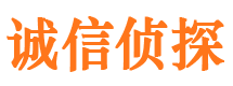 安多市侦探调查公司